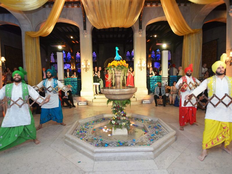 Arabian Dancers for Hire