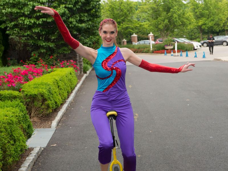 Circus Performers for Hire