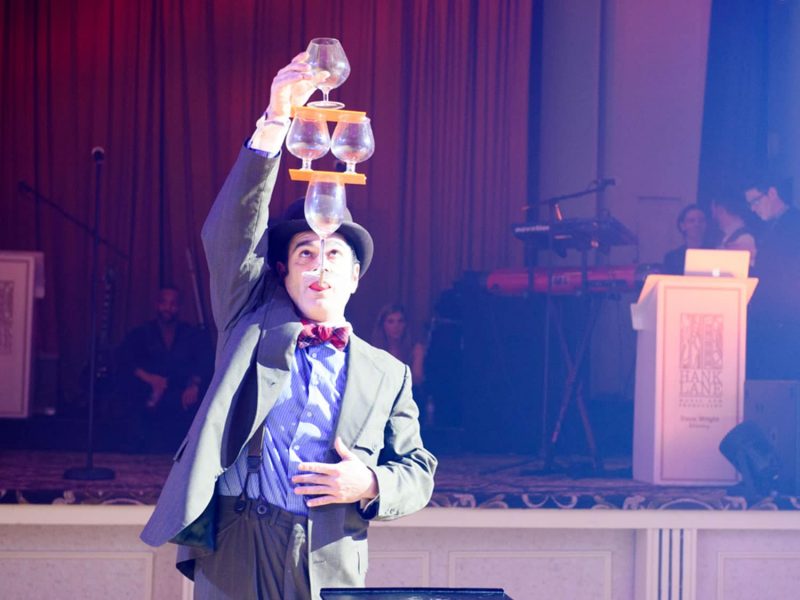 Circus Performers for Hire