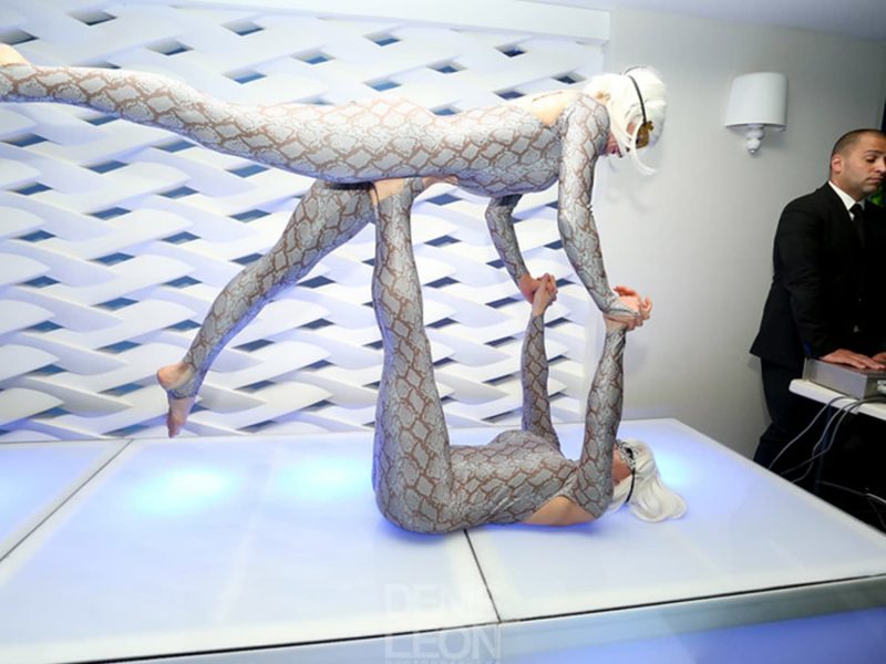 Contortionists for Hire