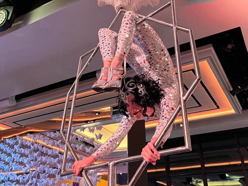 Contortionists for Hire