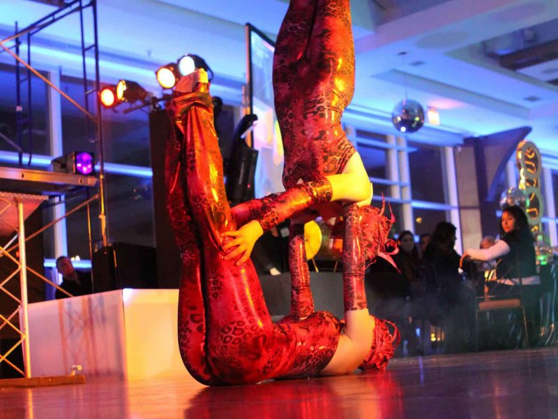 Contortionists for Hire