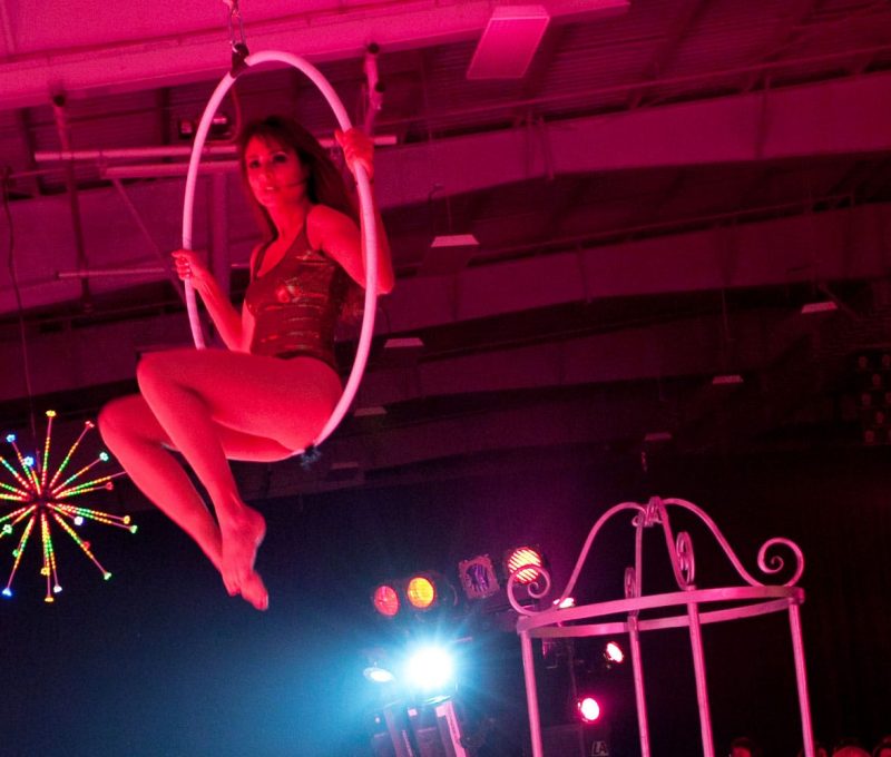 Aerialists for Hire